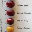 웅지2농장 이미지