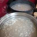 단술 Daum카페