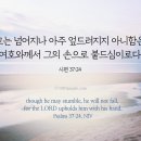 2026.5.13(수) 오늘의 말씀카드, 365묵상글 이미지
