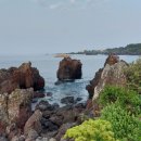 대포동호스텔 이미지