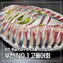양지로184번길 | 부천 옥길 고등어회 맛집 ‘옛추억을 안주삼아’｜포장 구성·가격·맛 총정리