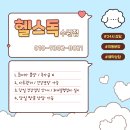 비숑분양 미니비숑분양 테디비숑분양 비숑입양 비숑프리제입양 미니비숑입양 이미지