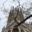 반일코스 | 스페인 바르셀로나 가우디 투어 인디고트래블 반일 코스 내돈내산 후기 할인 방법