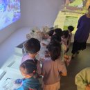 외부체험학습 ＜서대문자연사박물관＞① 이미지