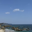 울산회식당 | 울산 물회 맛집 '울산회식당' 오픈런 후기 오징어 대신 만난 인생 잡어비빔물회