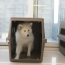강남유치원 이미지