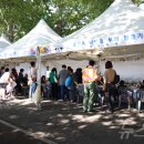 은행나무길(문화재단앞) 이미지