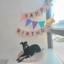 몽꾸르펫트하우스 이미지