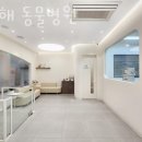 스무해 동물병원 이미지