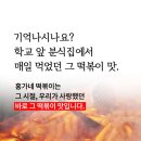 홍가네과일