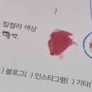 핑크모아화장품