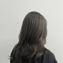 883017 네이버블로그