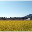 물통골마을 이미지