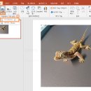 Point - 원형 이미지