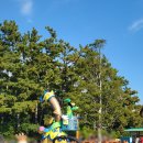 허니드리밍 이미지