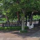 장흥편백 | (임신 기록_29) 여름 산책 장흥 우드랜드 편백숲 입장료 내부 시설 등