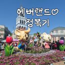 [내돈내산] 에버랜드 가면 먹어야 할 식당/간식 추천 정리 (feat:카드할인과 통신사할인 정리)