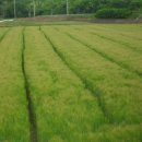 어민농장 이미지