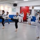 청우 태권도장 서울본관 네이버블로그
