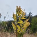 서화농장 이미지