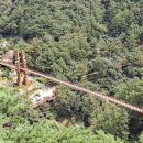 좌구산 흑염소 이미지