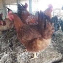 현주슈퍼 이미지