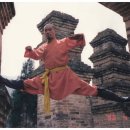 소림무술학교 이미지