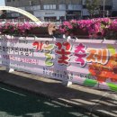 국화전시회 버스킹 문화공연 이미지