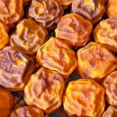 씨없는곶감마을 이미지