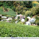 청풍호 감 이미지