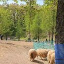 늘솔길근린공원(4호) 공원화장실 이미지