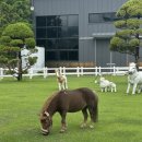 어슬렁stay 이미지