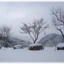 숲속민박 이미지