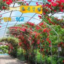 계상초등학교 이미지