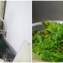 하나콘도민박 이미지