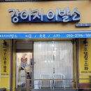 강아지이발소 이미지