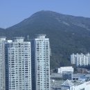 부산곰장어 이미지