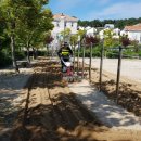 송림초등학교병설유치원 이미지