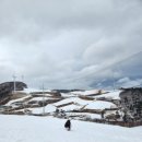 천일목장 이미지