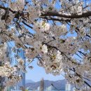 강물놀이터 이미지