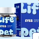 아이즈동물병원 이미지