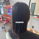 [거지존버티기/염색후기]요즘염색 외국애기머리색 염색 법조타운 미용실 광교 프라이빗 살롱 수본느 후기