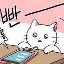 광명중학교 이미지