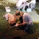 삼락생태공원 오토캠핑장 이미지