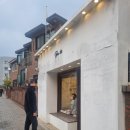 카페 토아로 | [금천/독산동] 귀여운 시츄가 있는 애견동반 가능 카페 푸르토아 후기