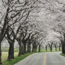 (주)두우리 이미지