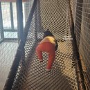 탑온소프트 | 아기기저귀 팬티형 전환 시기 고민 팸퍼스 엔젤브리즈 소프트팬티 추천