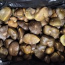 황금 행정사 사무소 이미지