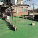 다문초등학교 이미지