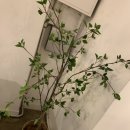 위긴티식스 이미지
